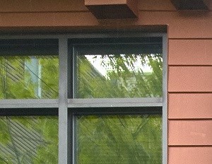 Ellipse Entry Property Image